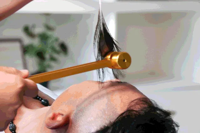 Ear-Cleaning Service