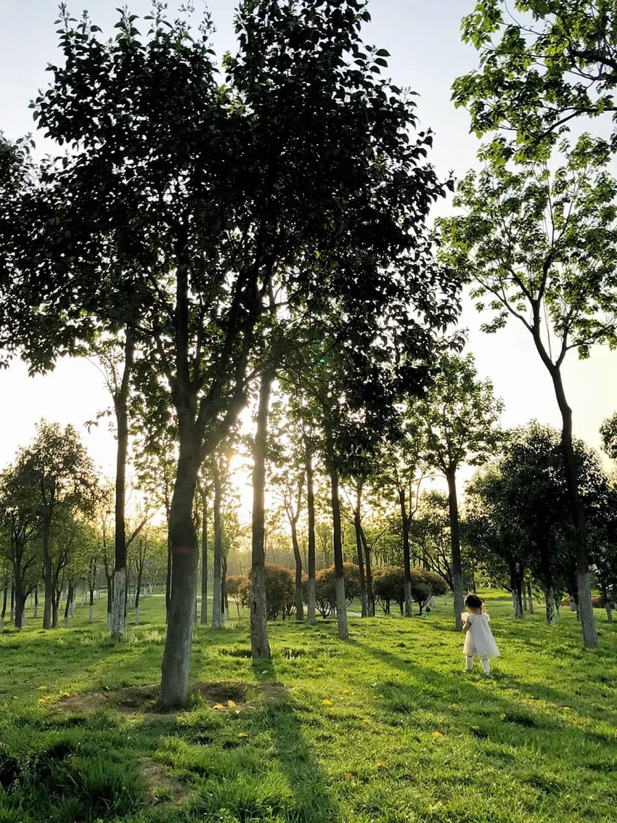Xi’an Nearby Parks & Family Outings: Spring Weekend Escapes