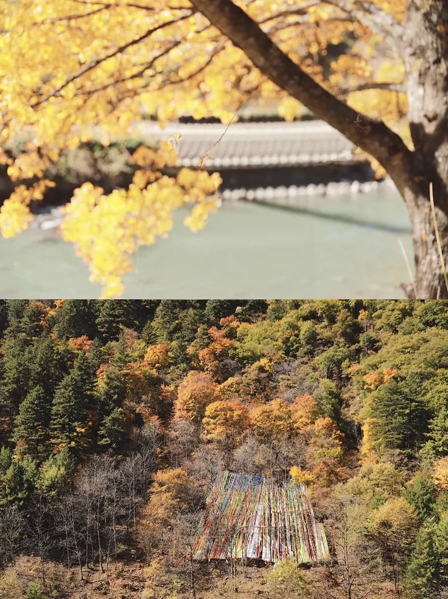 Miya Luo Scenic Area