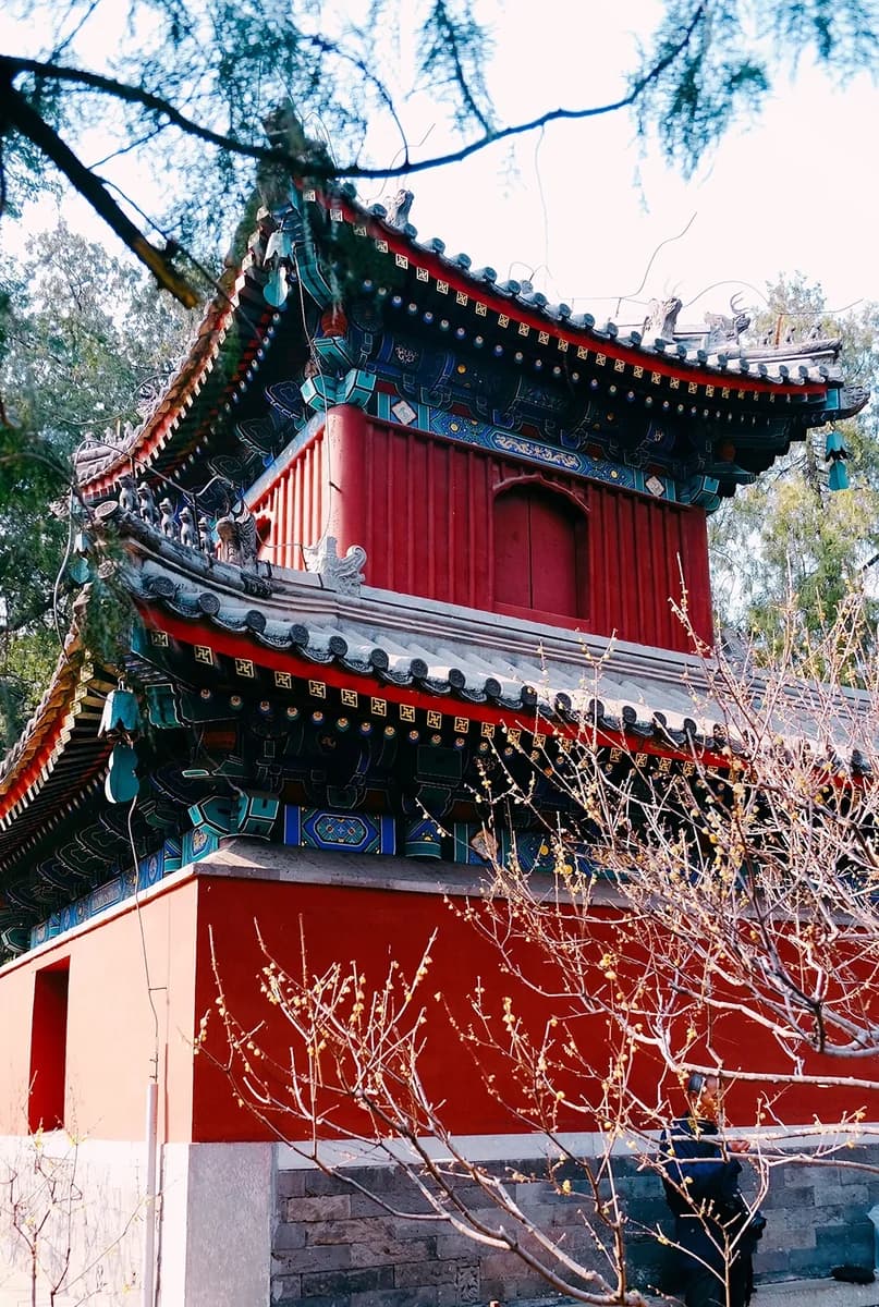 Beijing’s Treasured Imperial Gardens: Yuanmingyuan, Summer Palace, Fragrant Hills, and Botanical Garden