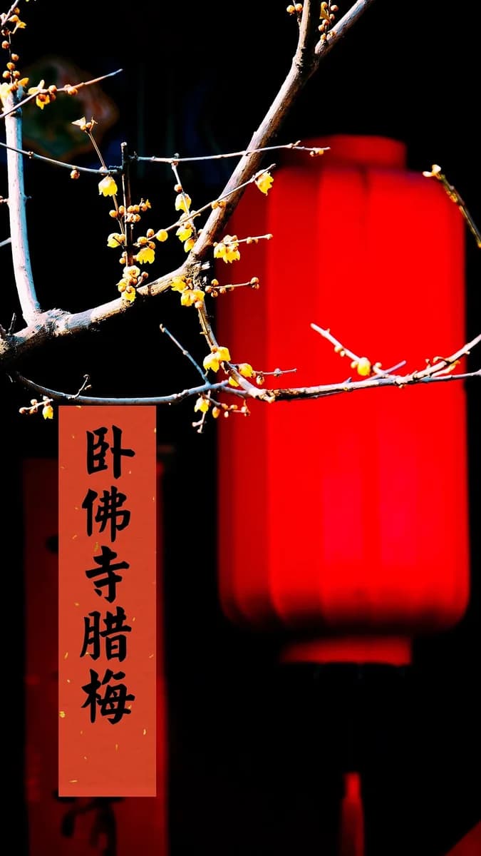 Beijing Botanical Garden