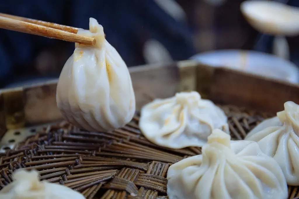 Guàn Tāng Bāo (Soup-Filled Dumplings)