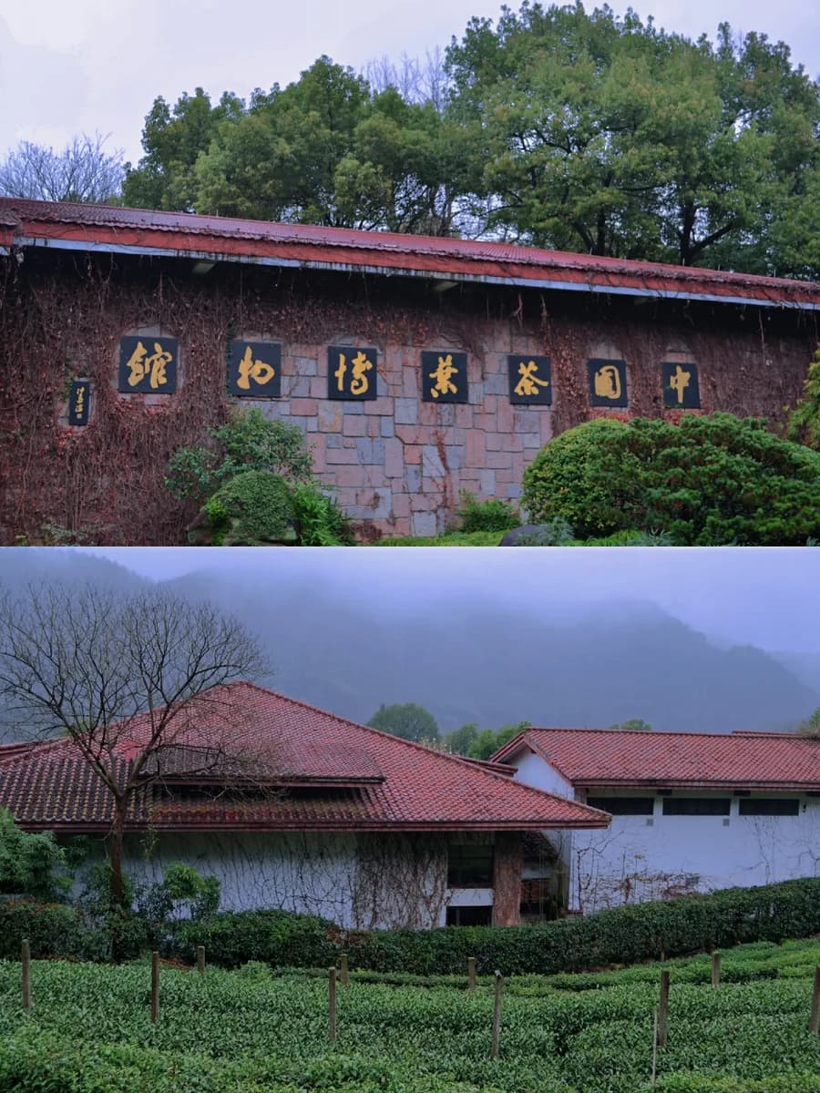 China National Tea Museum