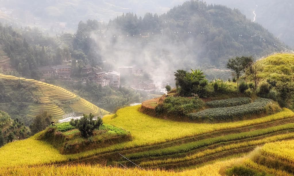 How to Explore Longji Rice Terraces: Best Views & Travel Tips