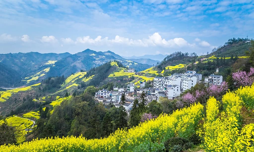 Huangshan Travel Guide: Must-See Highlights & Seasonal Tips