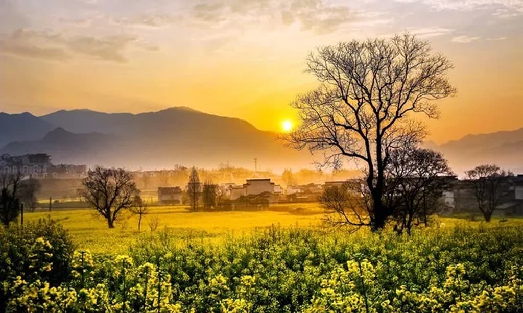 Huangshan Travel Guide: Best Sights in All Four Seasons