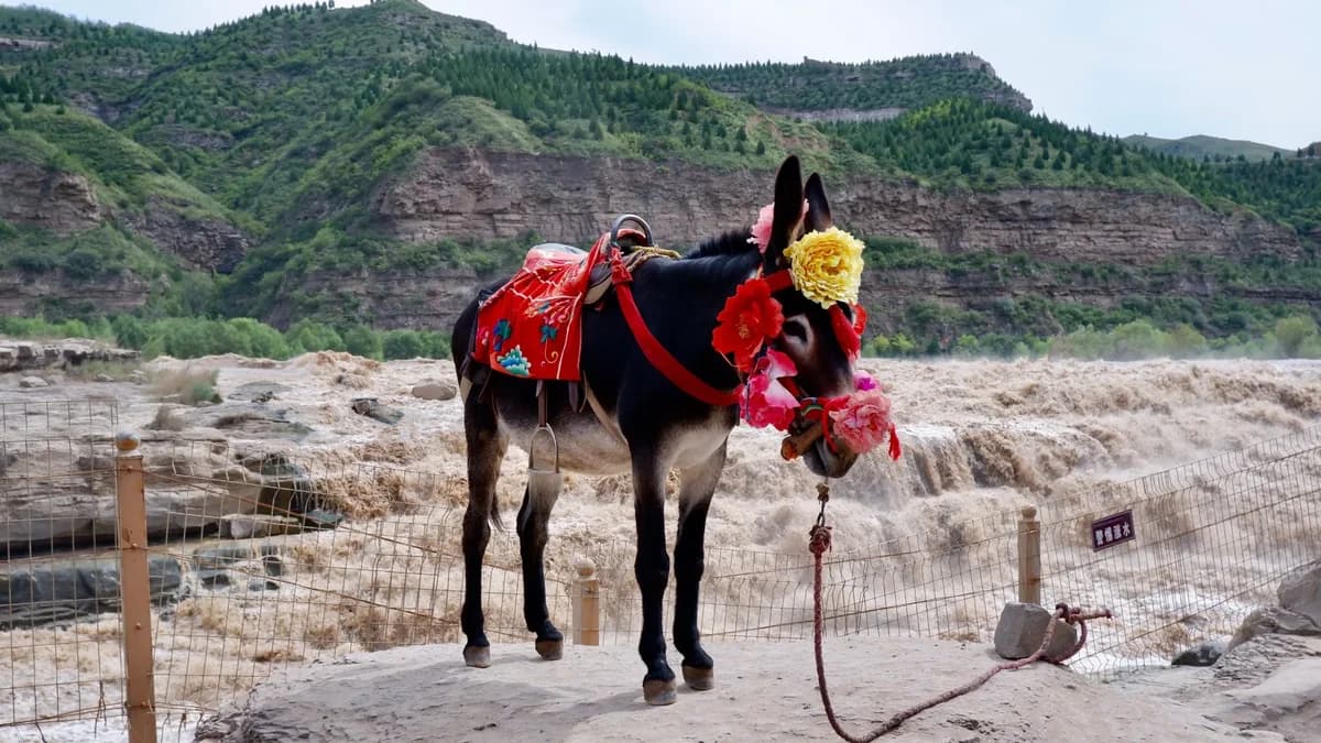 Hukou Waterfall Xi’an: Scenic Views, Travel Guide & Tips