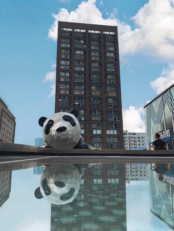 Must-Experience Highlights in Chengdu: Every Activity Worth Unlocking