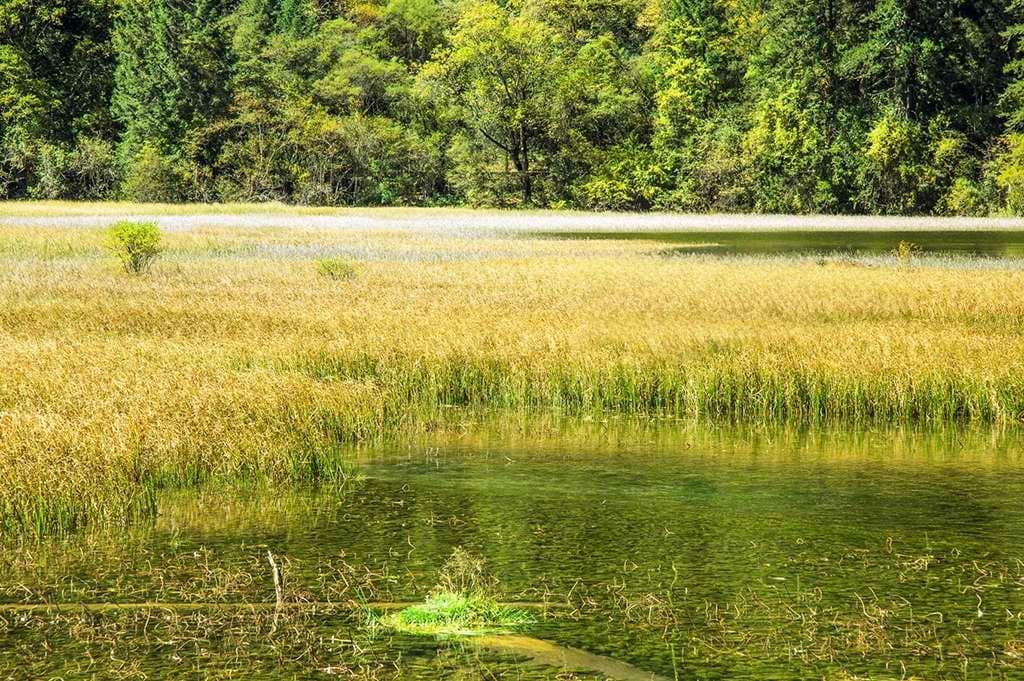 Jiuzhaigou Rize Valley
