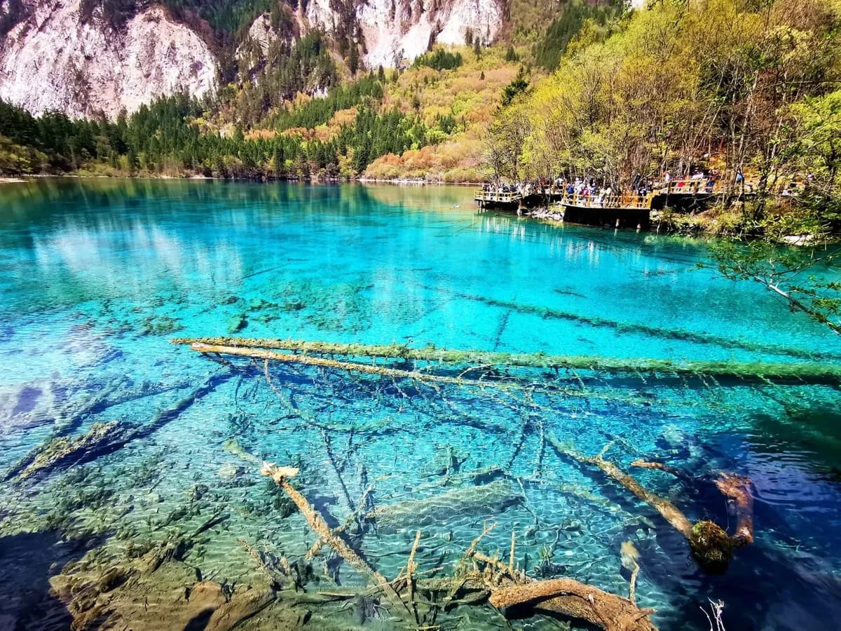 Jiuzhaigou Five-Flower Lake (Wuhua Hai)