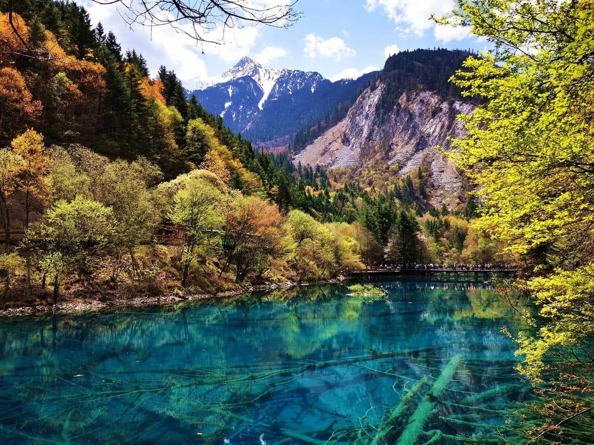 Jiuzhaigou Five-Flower Lake (Wuhua Hai)