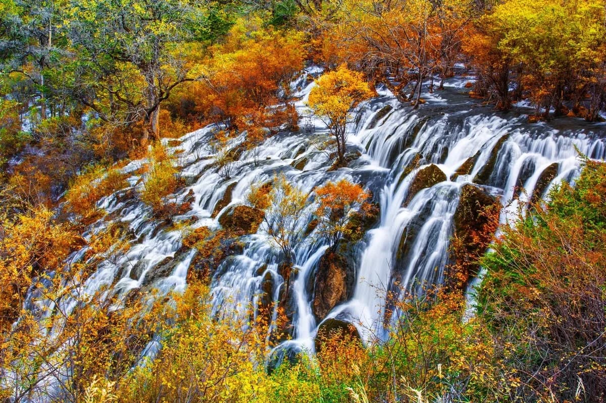 Jiuzhaigou Pearl Shoals Waterfall (Zhenzhu Tan Pubu)