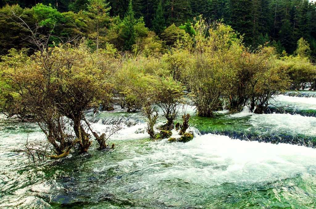 Jiuzhaigou Bonsai Shoals (Penjingtan)