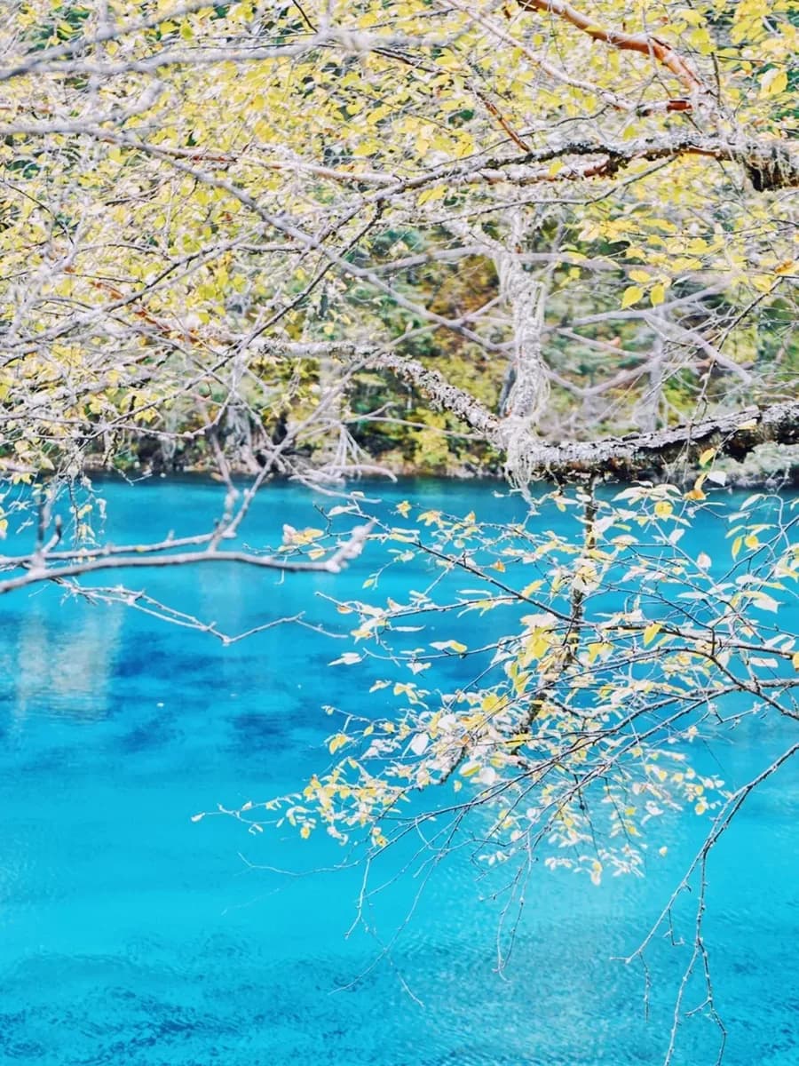 Jiuzhaigou