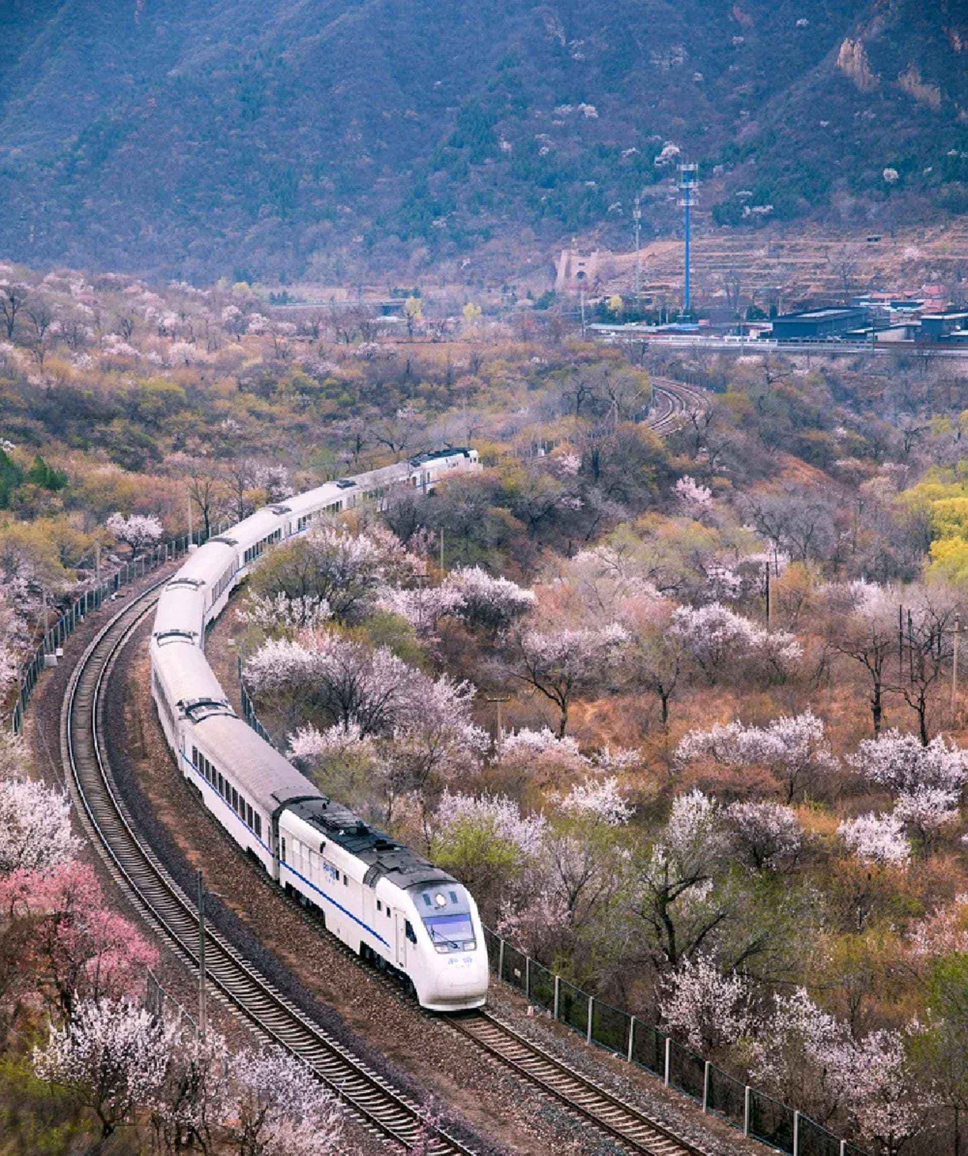 S2 Line flower train