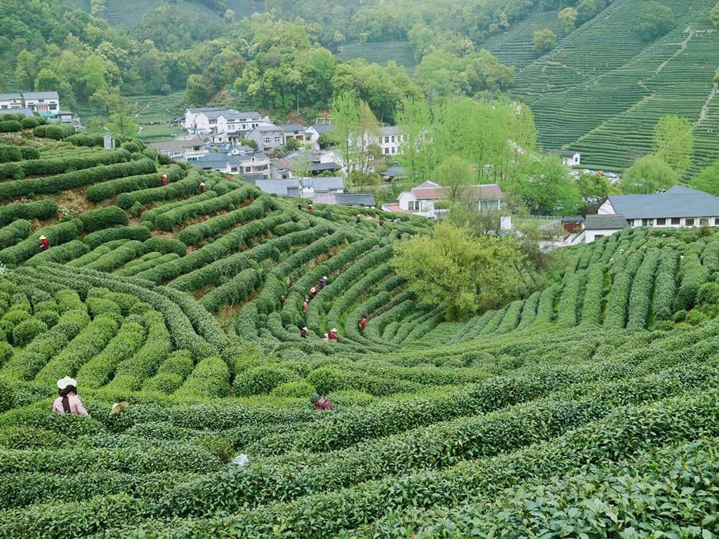 West Lake Attractions