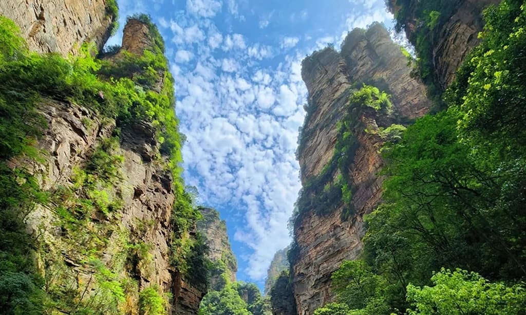 Zhangjiajie Hiking Guide: Best Scenic & Budget Trail Route