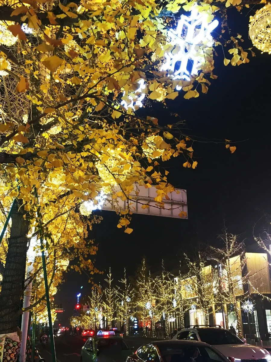 Taikoo Li