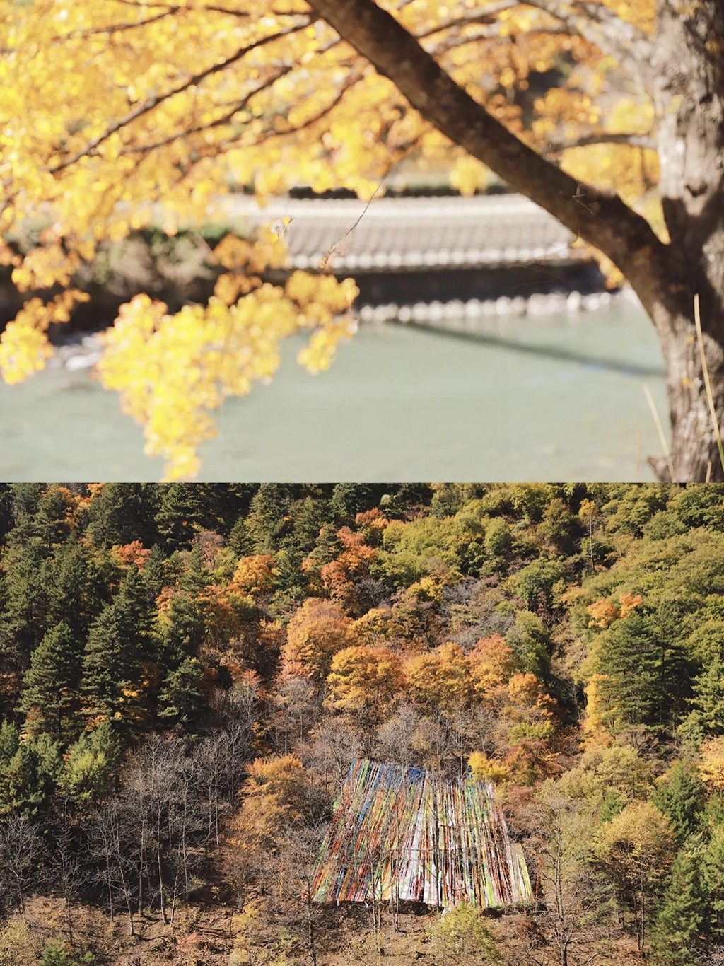 Miya Luo Scenic Area