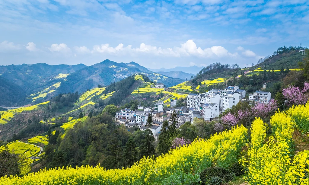 Huangshan Travel Guide: Must-See Highlights & Seasonal Tips