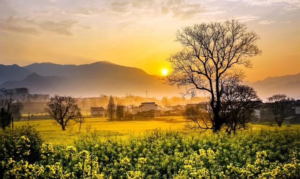 Huangshan Travel Guide: Best Sights in All Four Seasons