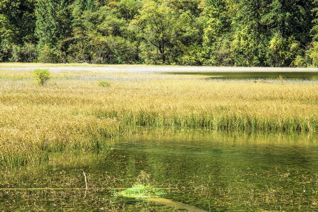 Jiuzhaigou Rize Valley