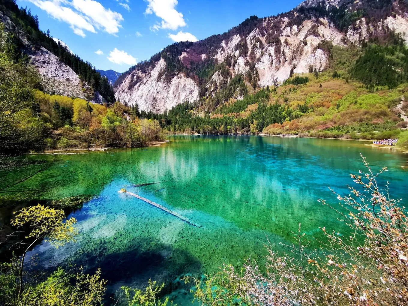 Jiuzhaigou Five-Flower Lake (Wuhua Hai)