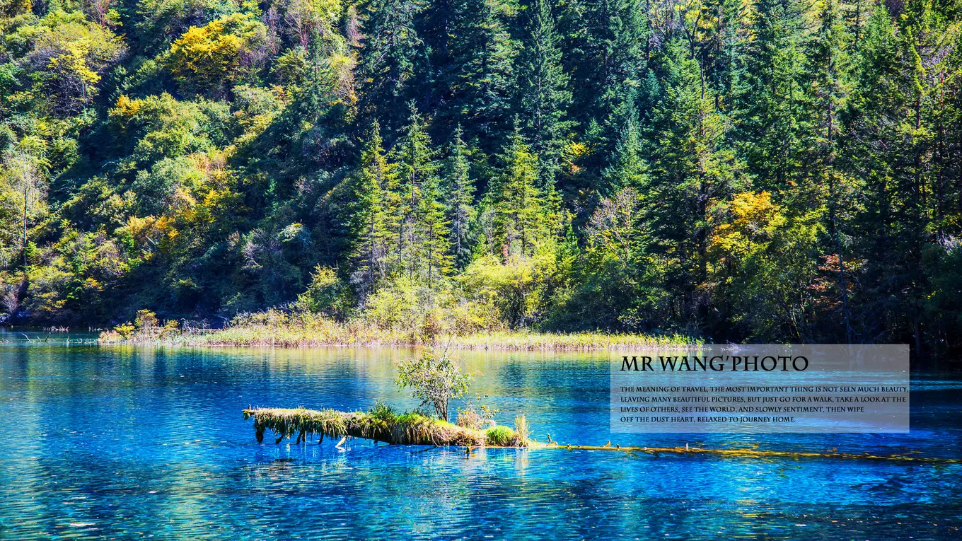 Jiuzhaigou Five-Flower Lake (Wuhua Hai)