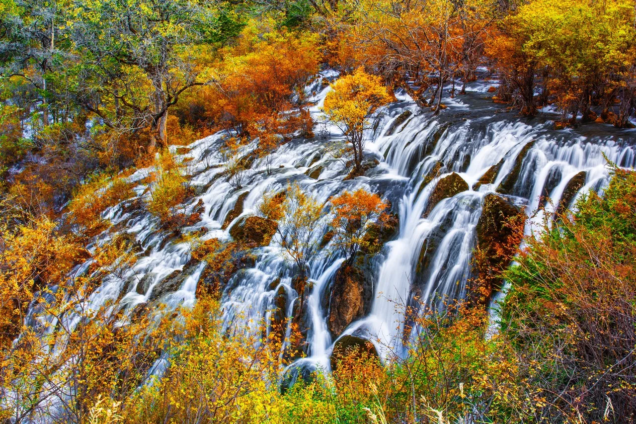 Jiuzhaigou Pearl Shoals Waterfall (Zhenzhu Tan Pubu)