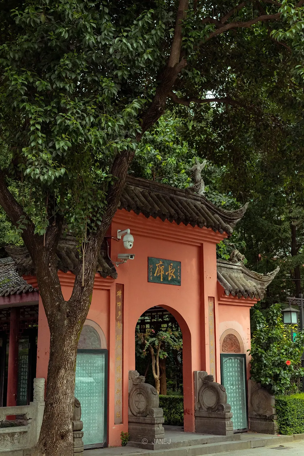 3-Day Chengdu Food & Sightseeing Itinerary | Explore Landmarks & Eat Like a Local