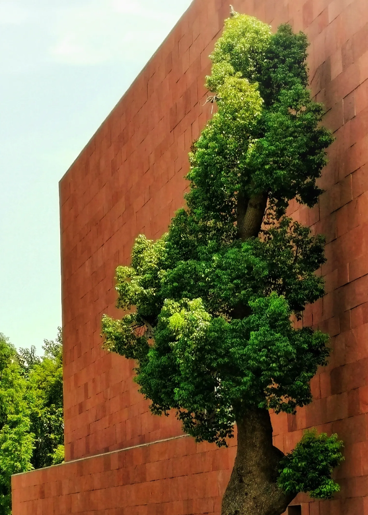 West Lake Attractions