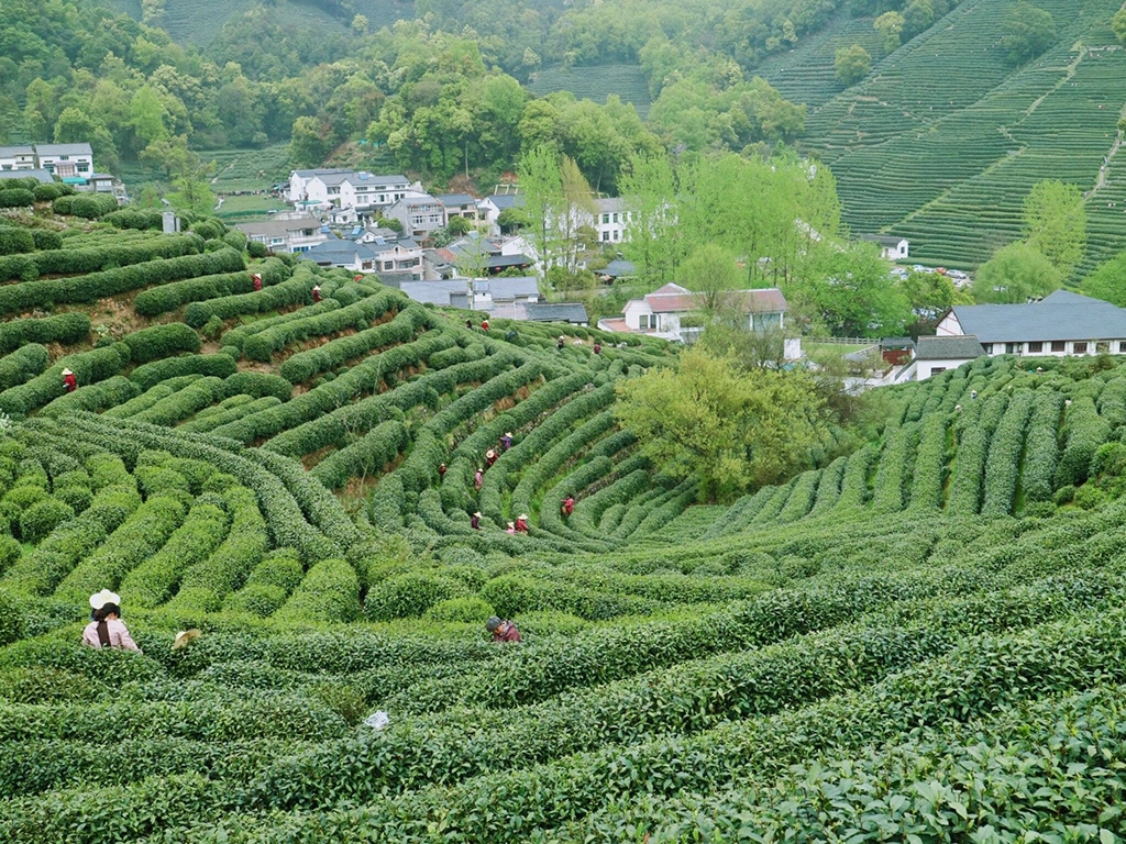 West Lake Attractions