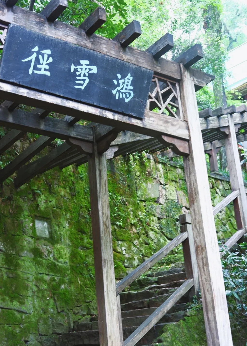 West Lake Classic Itinerary Overview: A Walking Tour of West Lake’s Scenic Spots